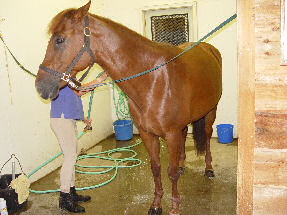 Breanna getting a bath